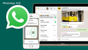 WhatsApp中文版下载 | whatsapp更新下载 有哪些新功能可以体验