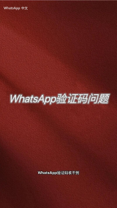 WhatsApp中文版下载 | WhatsApp下载前的准备工作：你需要知道的  别错过的重要提示