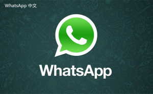 WhatsApp中文版下载 | 如何在不同网络条件下下载WhatsApp 优化下载体验与技巧