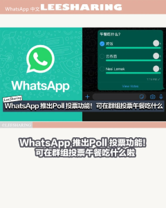 WhatsApp中文版下载 | WhatsApp下载率 下载量逐年攀升