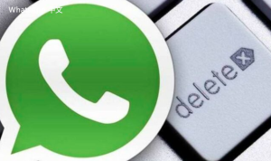 WhatsApp中文版下载 | 如何在复杂网络中下载WhatsApp 轻松应对不同环境的挑战