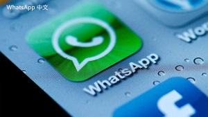 WhatsApp中文版下载 | whatsapp xp下载 轻松获取新版本应用