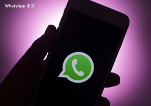 WhatsApp中文版下载 | whatsapp下载相片 更轻松地获取您的图片