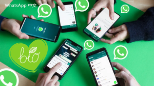 WhatsApp中文版下载 | whatsapp business下载 快速获取业务功能