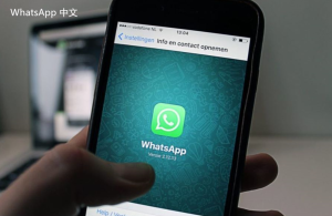 WhatsApp中文版下载 | 如何通过WhatsApp进行文件传输：实用技巧