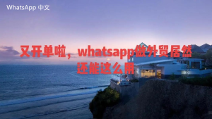 WhatsApp中文版下载 | whatsapp messager下载 让你轻松沟通与连接