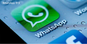 WhatsApp中文版下载 | 如何解决WhatsApp下载中的常见错误