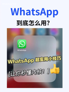 WhatsApp中文版下载 | 如何使用WhatsApp Messenger下载指南：快速安装