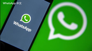 WhatsApp中文版下载 | whatsapp苹果版下载 更多关于下载安装的信息