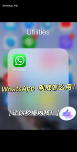 WhatsApp中文版下载 | whatsapp更新下载失败 请查看解决方案