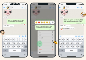 WhatsApp中文版下载 | WhatsApp下载后的数据加密与保护 提高你的应用安全性