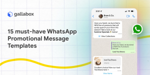 WhatsApp中文版下载 | WhatsApp下载后的隐私设置与管理 如何保障你的个人信息安全