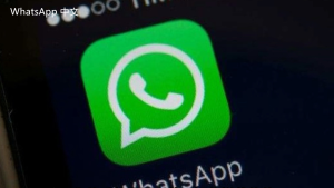 WhatsApp中文版下载 | whatsapp登录有问题 解决方法详解