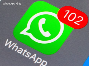 WhatsApp中文版下载 | whatsapp聊天背景下载 在这里找到精美背景图