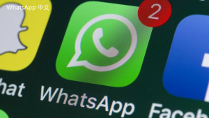 WhatsApp中文版下载 | WhatsApp下载与安装的最佳实践 提升你的下载体验