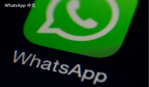 WhatsApp中文版下载 | WhatsApp下载中的文件损坏如何修复 需要简单的解决方案