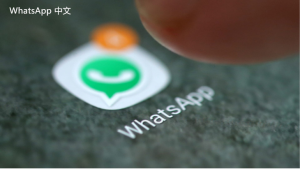 WhatsApp中文版下载 | whatsapp激活软件下载 轻松获取激活所需工具