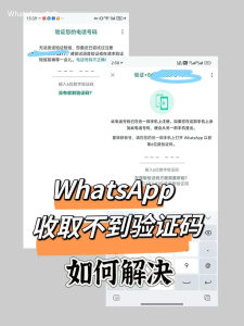 WhatsApp中文版下载 | whatsapp登录资料没了 迅速找回你的账户信息