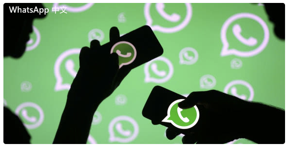 WhatsApp中文版下载 | WhatsApp下载后的隐私保护措施 保护你的数据安全