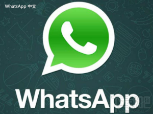 WhatsApp中文版下载 | WhatsApp下载后的用户体验反馈与改进  反馈与改进的重要性解析