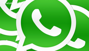 WhatsApp中文版下载 | WhatsApp下载后的网络设置与调试  优化网络连接的实用技巧