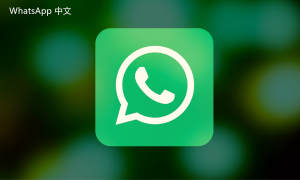 WhatsApp中文版下载 | whatsapp下载最新版 方便快捷的获取途径