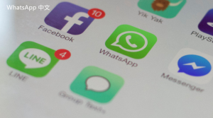 WhatsApp中文版下载 | WhatsApp下载后的数据管理与安全建议 如何高效保护您的信息安全