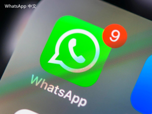 WhatsApp中文版下载 | whatsapp账号换设备登录 轻松掌握切换技巧