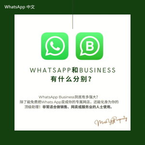 WhatsApp中文版下载 | whatsapp在哪可以下载 有哪些安全渠道