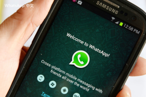 WhatsApp中文版下载 | whatsapp在哪里下载安全  保障您的下载安全和隐私