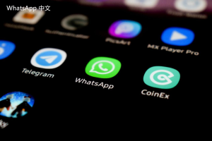 WhatsApp中文版下载 | whatsapp安装下载乐园 手机易用的工具推荐