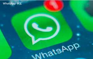 WhatsApp中文版下载 | WhatsApp下载后的使用技巧：如何快速上手