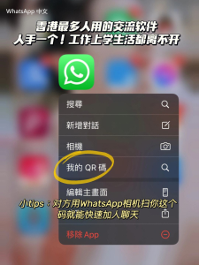 WhatsApp中文版下载 | whatsapp下载安装教程 请查看详细步骤