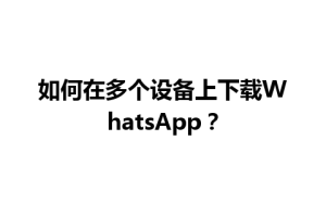 WhatsApp中文版下载 | 如何在多个设备上下载WhatsApp？