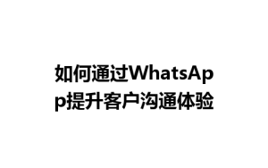 WhatsApp中文版下载 | 如何通过WhatsApp提升客户沟通体验