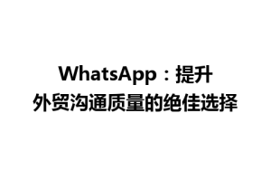 WhatsApp中文版下载 | WhatsApp：提升外贸沟通质量的绝佳选择