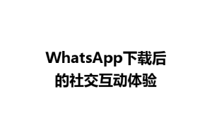 WhatsApp中文版下载 | WhatsApp下载后的社交互动体验