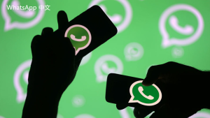 WhatsApp中文版,WhatsApp下载