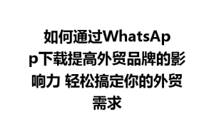 WhatsApp中文版,WhatsApp下载