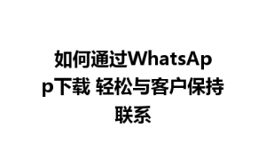 WhatsApp中文版,WhatsApp下载