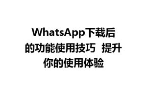 WhatsApp中文版下载 | WhatsApp下载后的功能使用技巧  提升你的使用体验