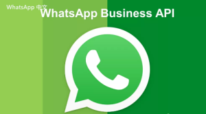 WhatsApp中文版下载 | whatsapp安装提示下载最新版 趣味与挑战并存