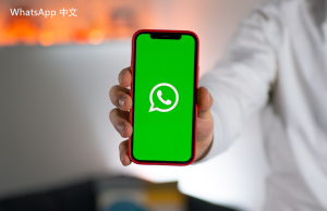 WhatsApp中文版下载 | whatsapp登录上却没有网络 解决方法解析