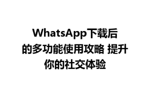 WhatsApp中文版下载 | WhatsApp下载后的多功能使用攻略 提升你的社交体验