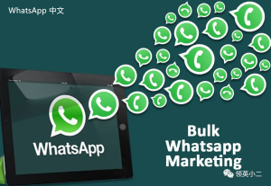 WhatsApp中文版下载 | whatsapp 2010下载安装 快速获取最新版本体验