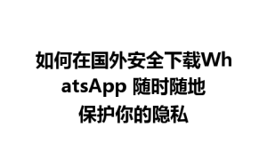 WhatsApp中文版下载 | 如何在国外安全下载WhatsApp 随时随地保护你的隐私