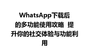 WhatsApp中文版下载 | WhatsApp下载后的多功能使用攻略  提升你的社交体验与功能利用