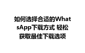 WhatsApp中文版下载 | 如何选择合适的WhatsApp下载方式 轻松获取最佳下载选项