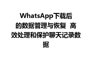 WhatsApp中文版下载 | WhatsApp下载后的数据管理与恢复  高效处理和保护聊天记录数据