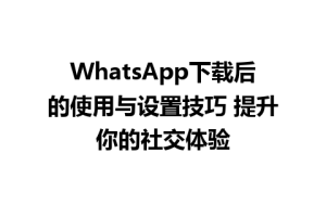 WhatsApp中文版,WhatsApp下载